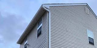 Best Historical Building Siding Restoration  in Douglas, GA